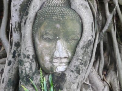 im Angesicht Buddhas