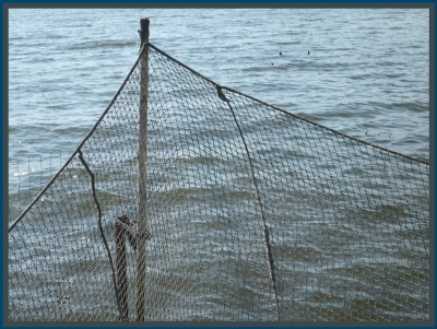 Netze im See