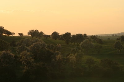 Abendliche Landschaft