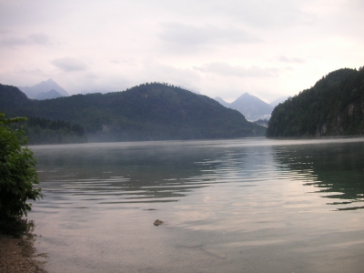 Alpsee im Nebel