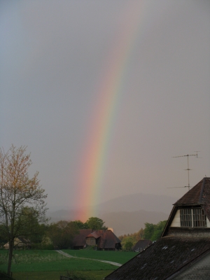 Regenbogen