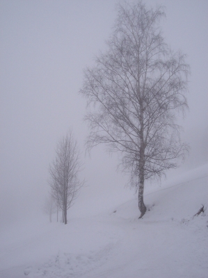 Winterlandschaft im Riesengebirge