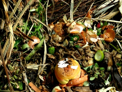 Bioabfälle Kompost