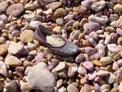 Shoe on the beach