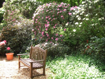 Im Rhododendronpark / 6