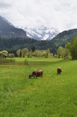 Romantisches Allgäu 2