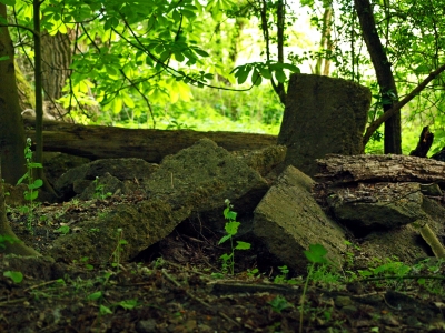 Betongrab im Wald