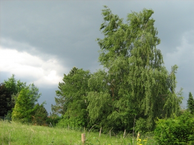 Regenfront