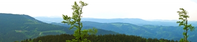 Schwarzwaldpanorama beim Mummelsee_kl