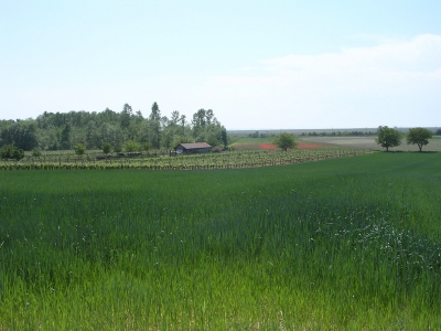 Radtour um den Neusiedlersee