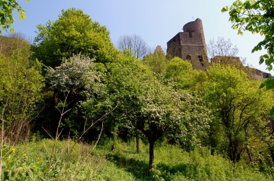 Im Burggarten der Löwenburg