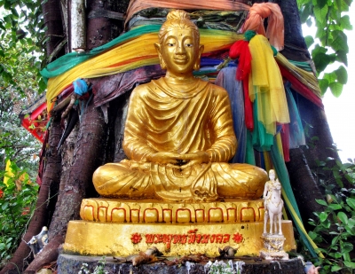 Goldene Buddhastatue/Koh Samui