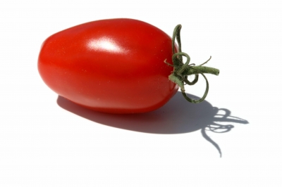 Tomaten 47