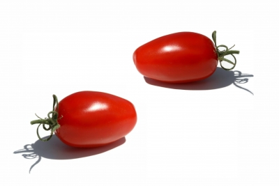 Tomaten 48