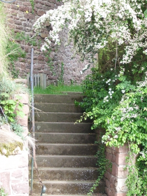 Alte Treppe auf dem Dilsberg