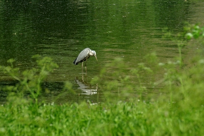 Leben am Wasser 1