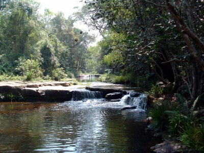 Flusslandschaft im tropischen Wald von Paraguay