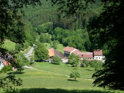 Mühle im Höllgrund