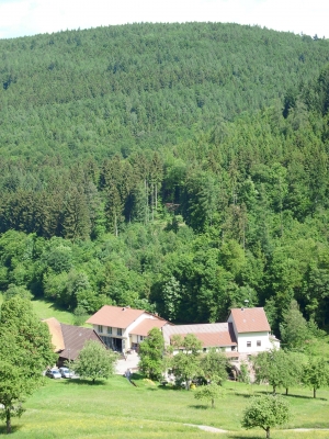 Mühle im Odenwald