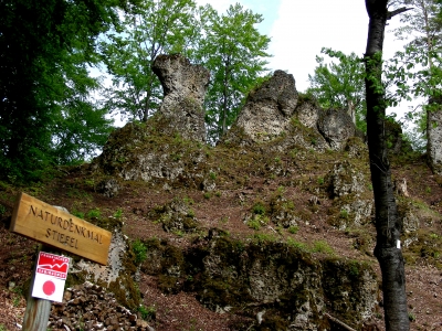 Naturdenkmal Stiefel in Betzenstein