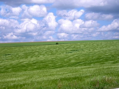 Himmel und Wiese