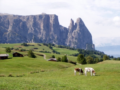 Auf der Seiser Alm