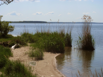 Halbinsel Gnitz - Am Achterwasser 3