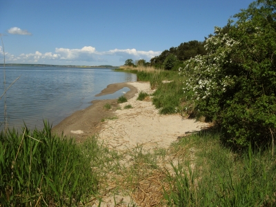 Halbinsel Gnitz - Am Achterwasser 5