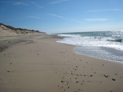 Dänemarker Strand Gegend Ty