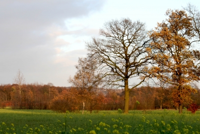 Herbst