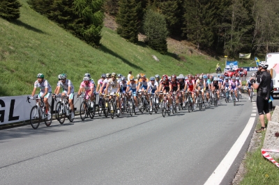 Fahrerfeld Giro d'Italia 2009