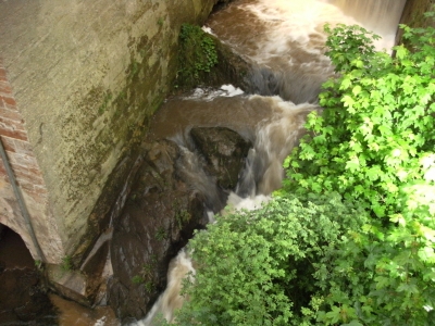 Wasserfall Saarburg Bild1