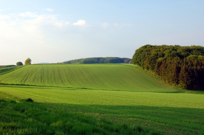 Sanft-grüne Felder und Auen der Eifel #2
