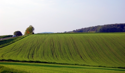 Sanft-grüne Felder und Auen der Eifel #3