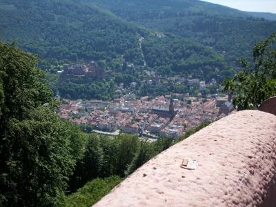 Die Heidelberger Altstadt