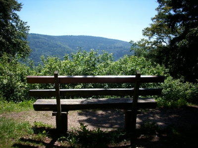 Blick auf den Königstuhl