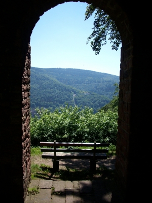Blick vom Heiligenberg auf die Molkenkur auf dem Königstuhl