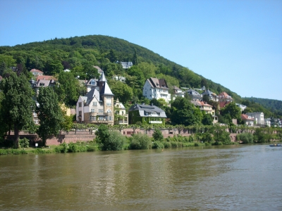 Der Heiligenberg in Heidelberg