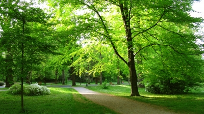 Baden-Baden Im Park