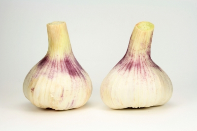 Knoblauch 8