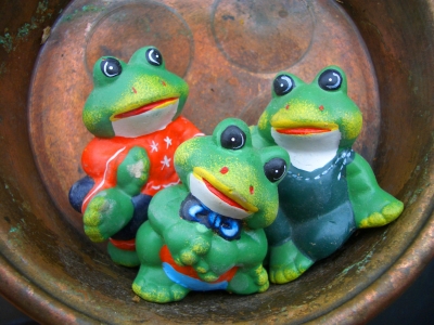Frosch-Trio
