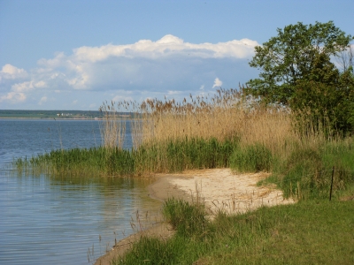 Halbinsel Gnitz - Am Achterwasser 6