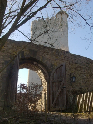 2008-12-30 Burg Olbrück 02