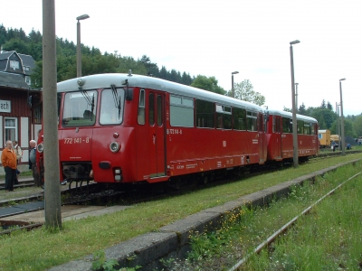 Das letzte Ferkeltaxi...