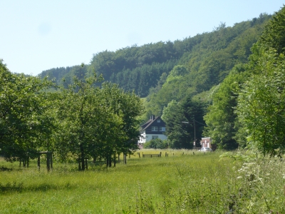 Ein Stück  Sauerland