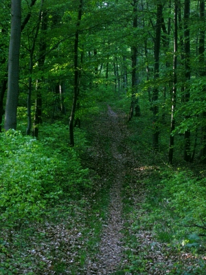 Wanderweg