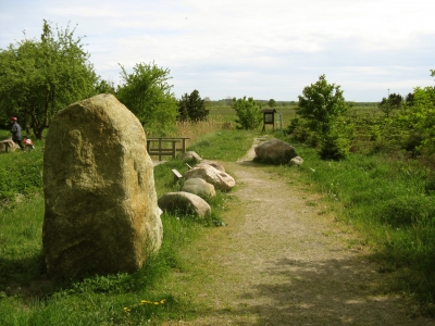 Steingarten - Pudagla 4