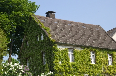 Haus in Grün