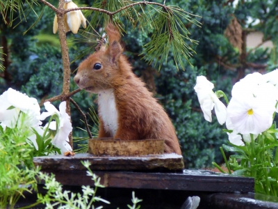 Was guckst du ?