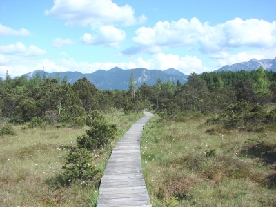 Murnauer Moor / Bayern